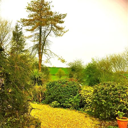 Llanboidy Heddfan B&B 외부 사진