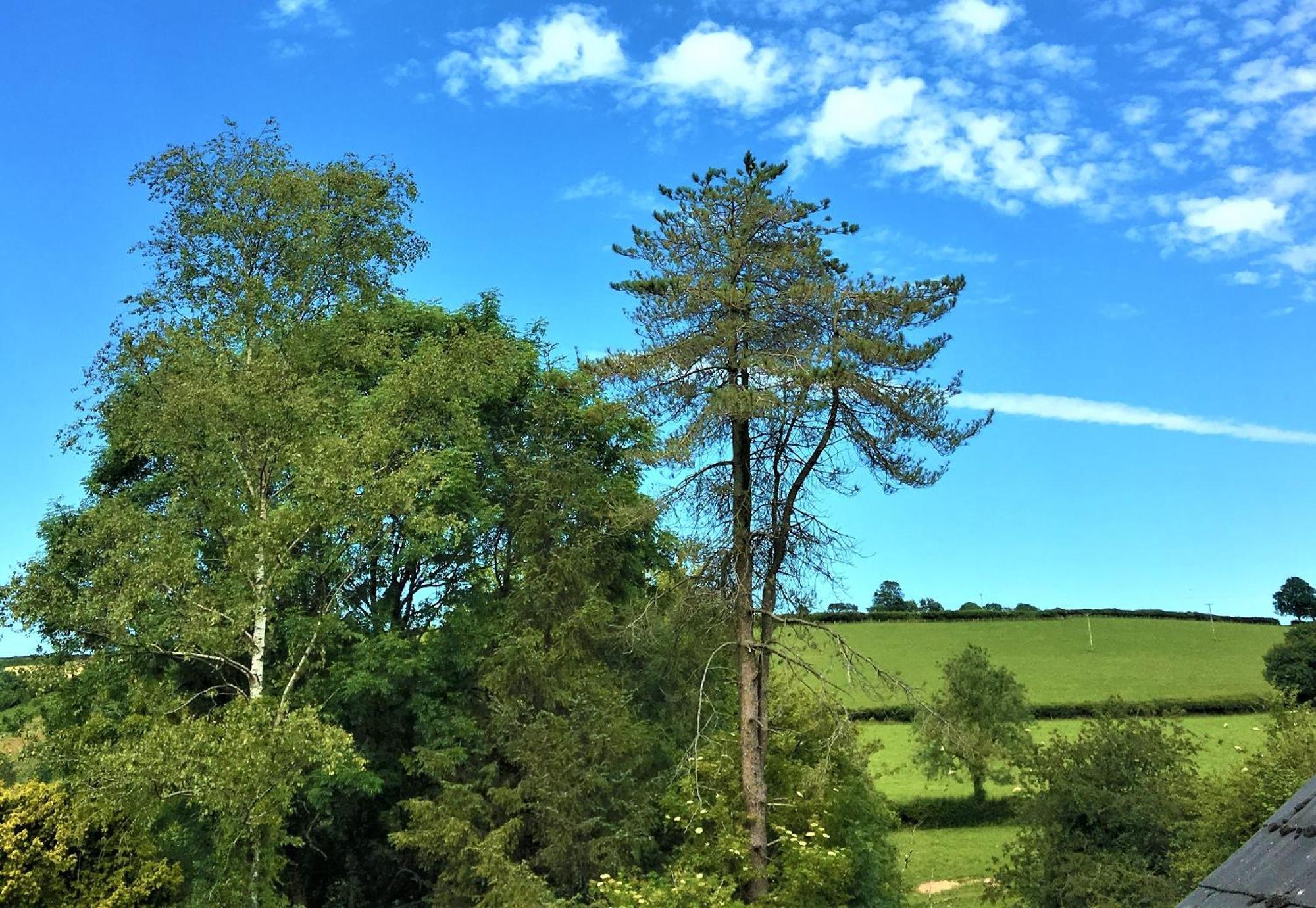 Llanboidy Heddfan B&B 외부 사진