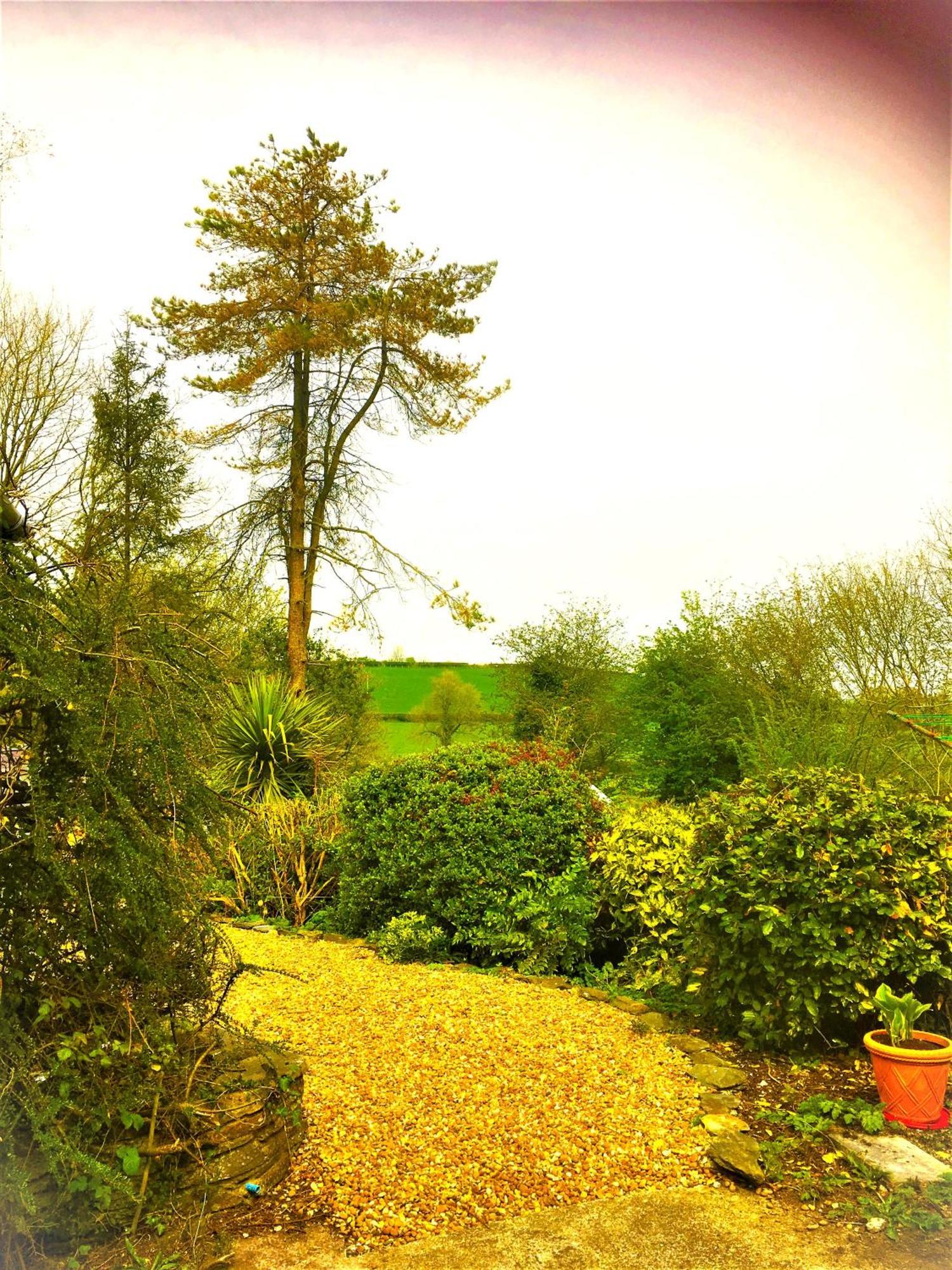 Llanboidy Heddfan B&B 외부 사진